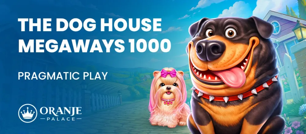 Promotional banner for 'The Dog House Megaways 1000' game with two cheerful cartoon dogs.
