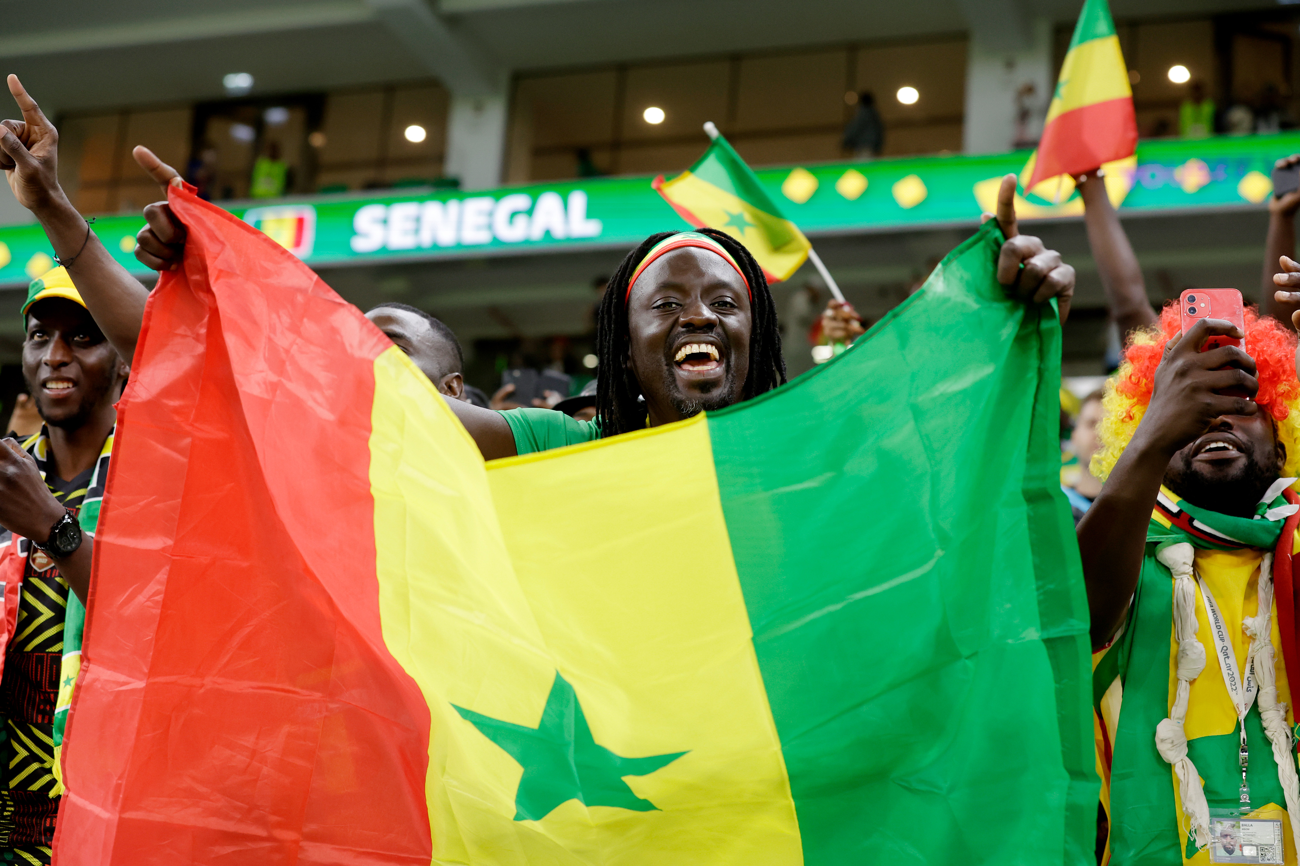 A joyous fan holds a large Senegal flag in a stadium, celebrating.